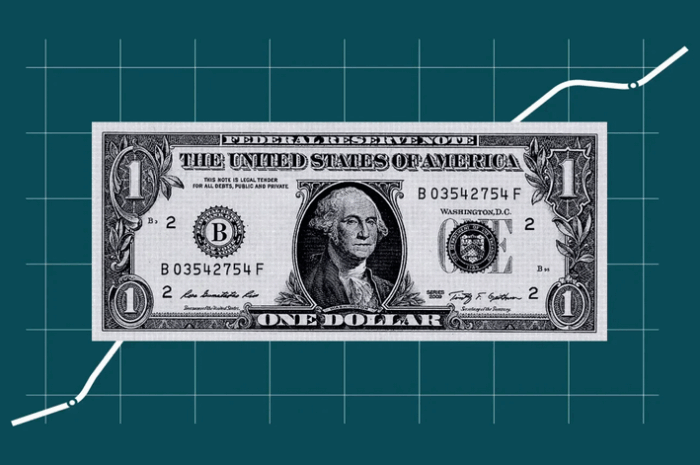 Скільки коштує долар в Україні: що варто знати у 2025-му