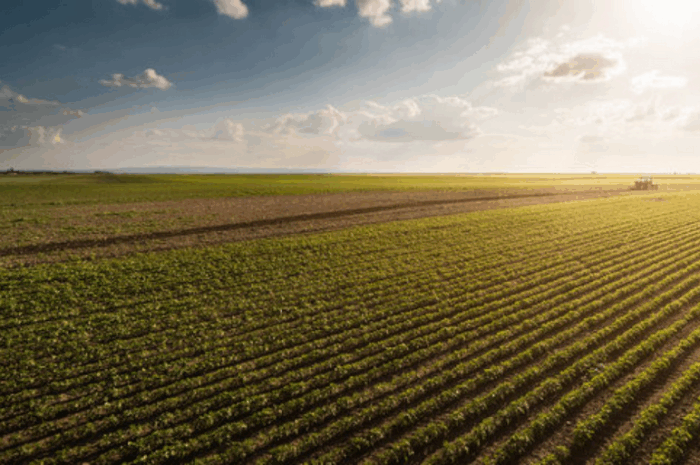 Орендна плата за землю в Україні у 2025 році: що змінилося та що потрібно знати