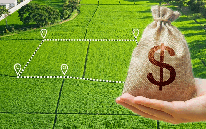 Скільки коштує земля в Україні у 2025 році: детальний аналіз