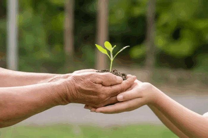 Скільки коштує оформлення спадщини на земельний пай